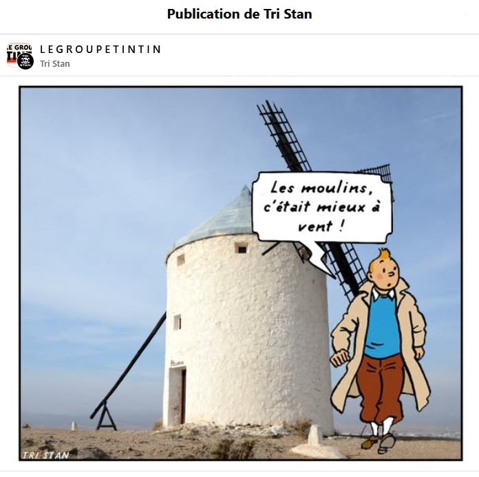 moulin tris tan.jpg